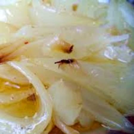 Cebolla