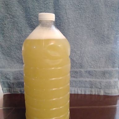 Agua Fresca Sabor Piña Natural de 1 Litro