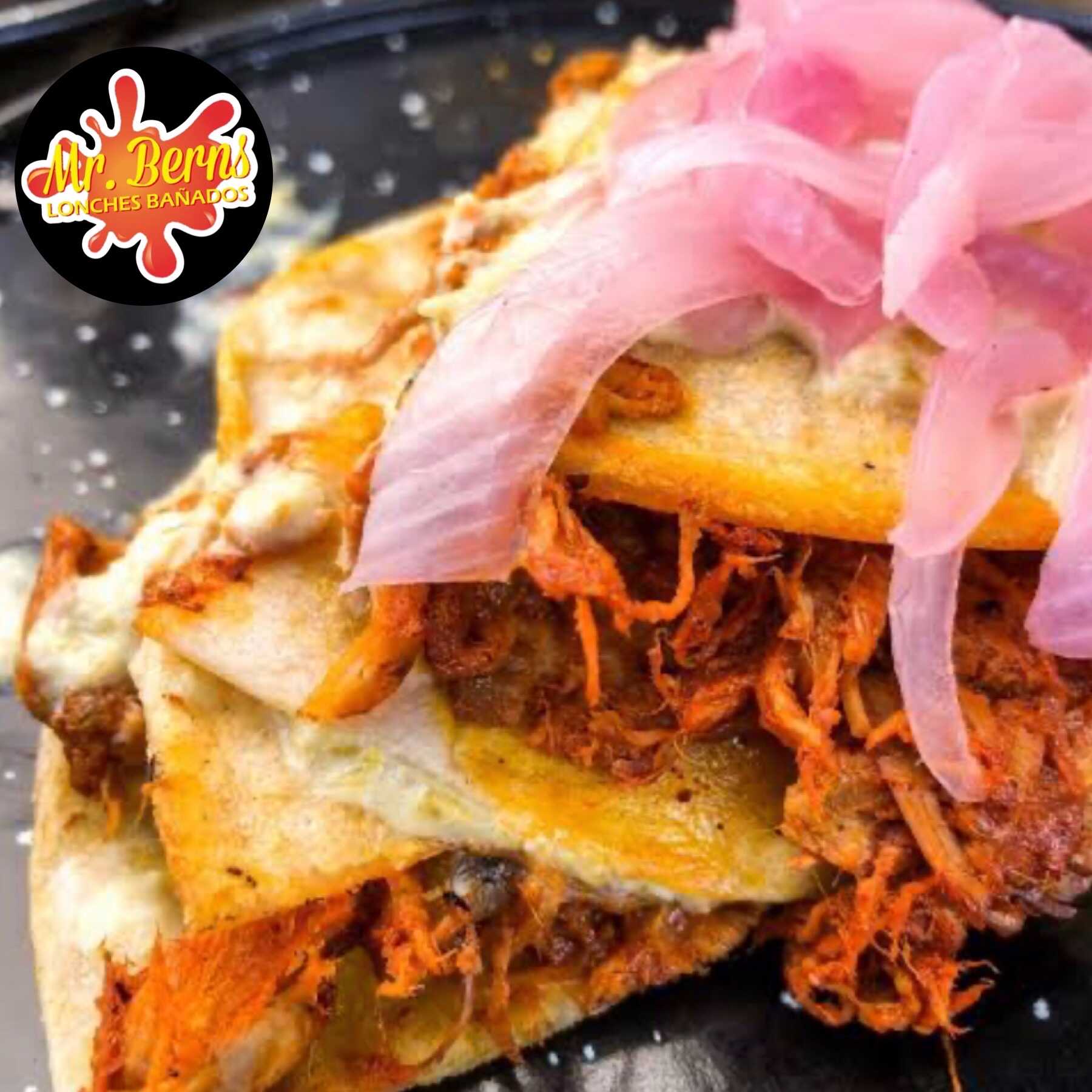 Sincro de Cochinita