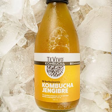 Té Vivo Kombucha Jengibre