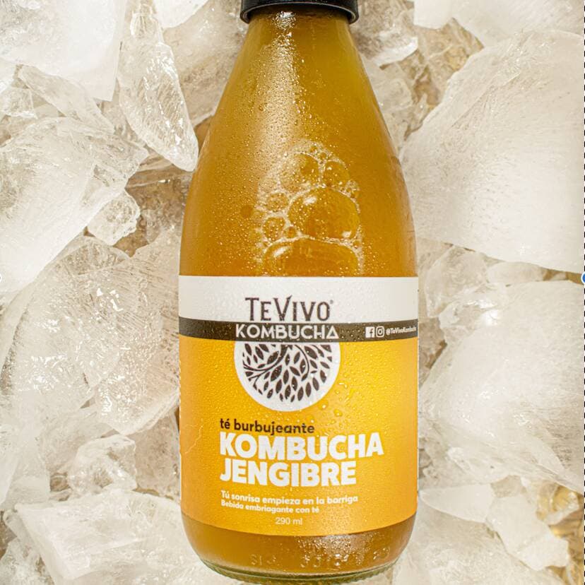Té Vivo Kombucha Jengibre