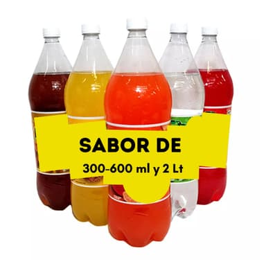REFRESCO DE 2 LT