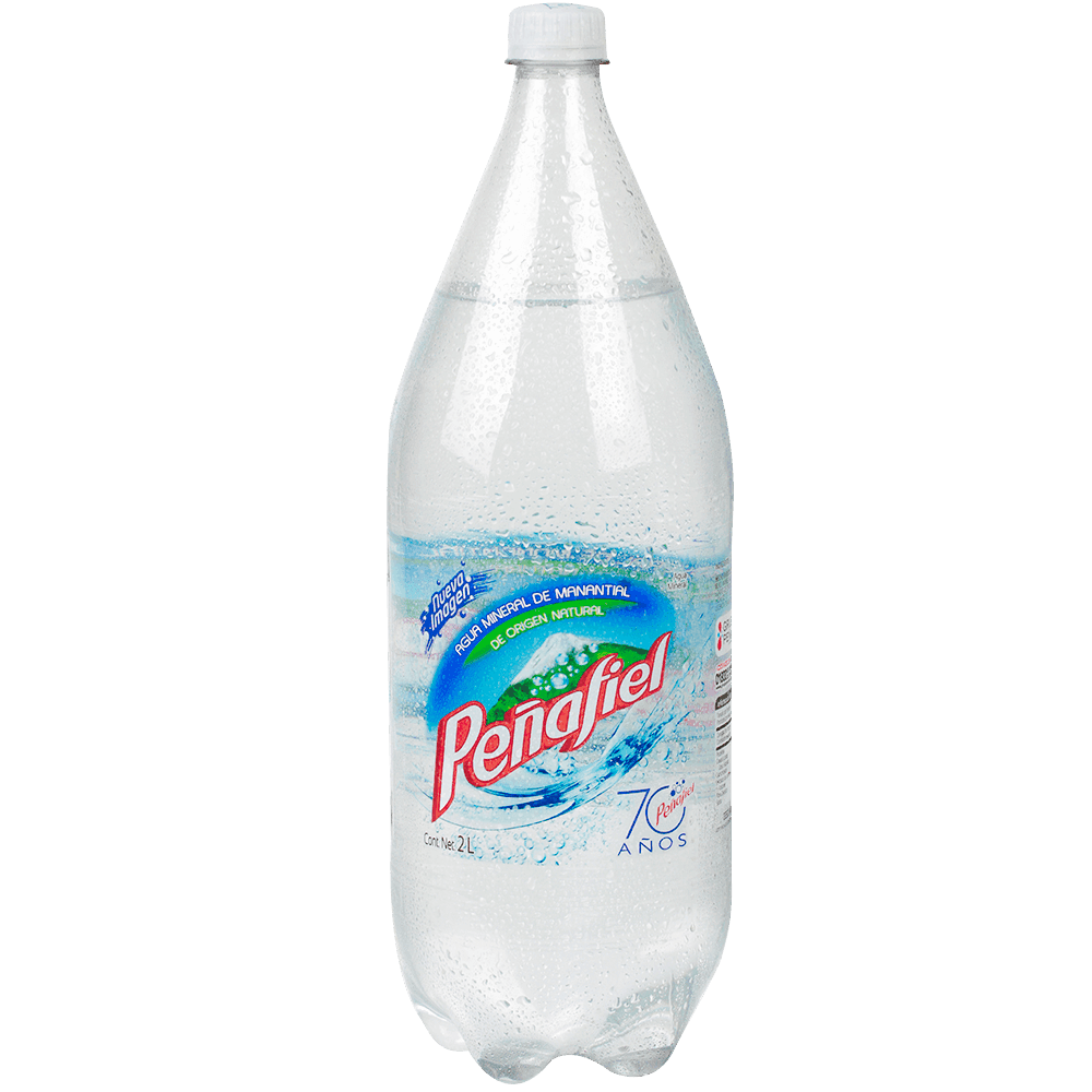Penafiel Mineral 2 lt NR