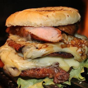 Burger Flow 120 G