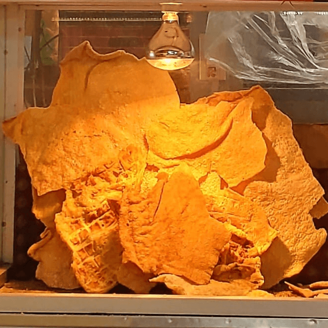 Chicharrón de Cerdo