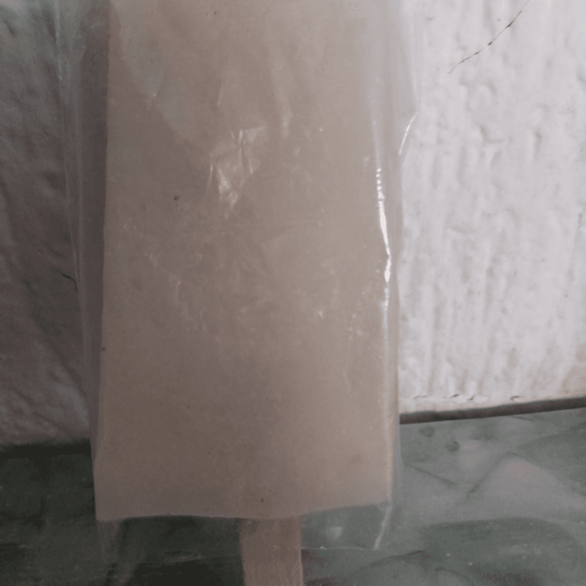 Paleta de Guanabana