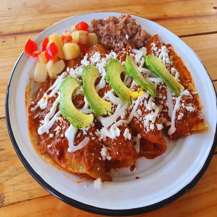 El Lokal Los Cabos