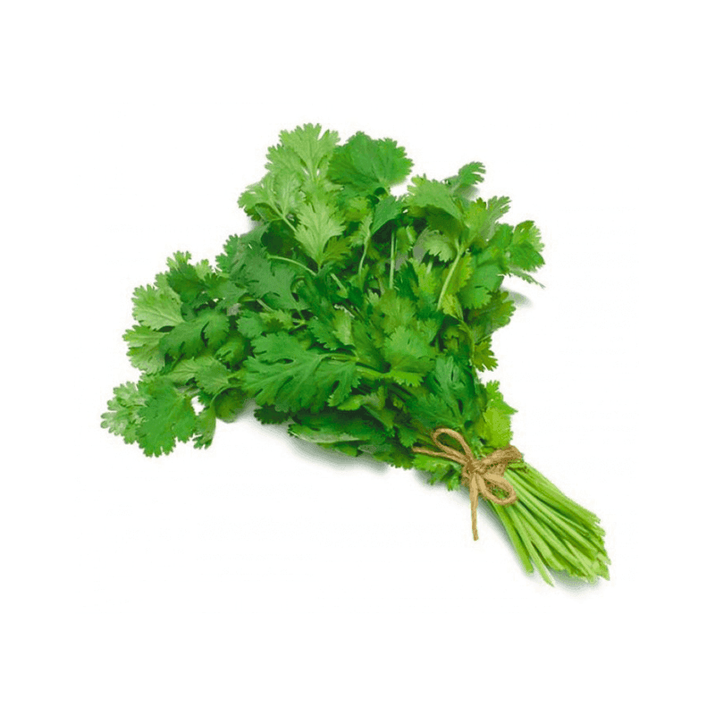 Cilantro Mazo