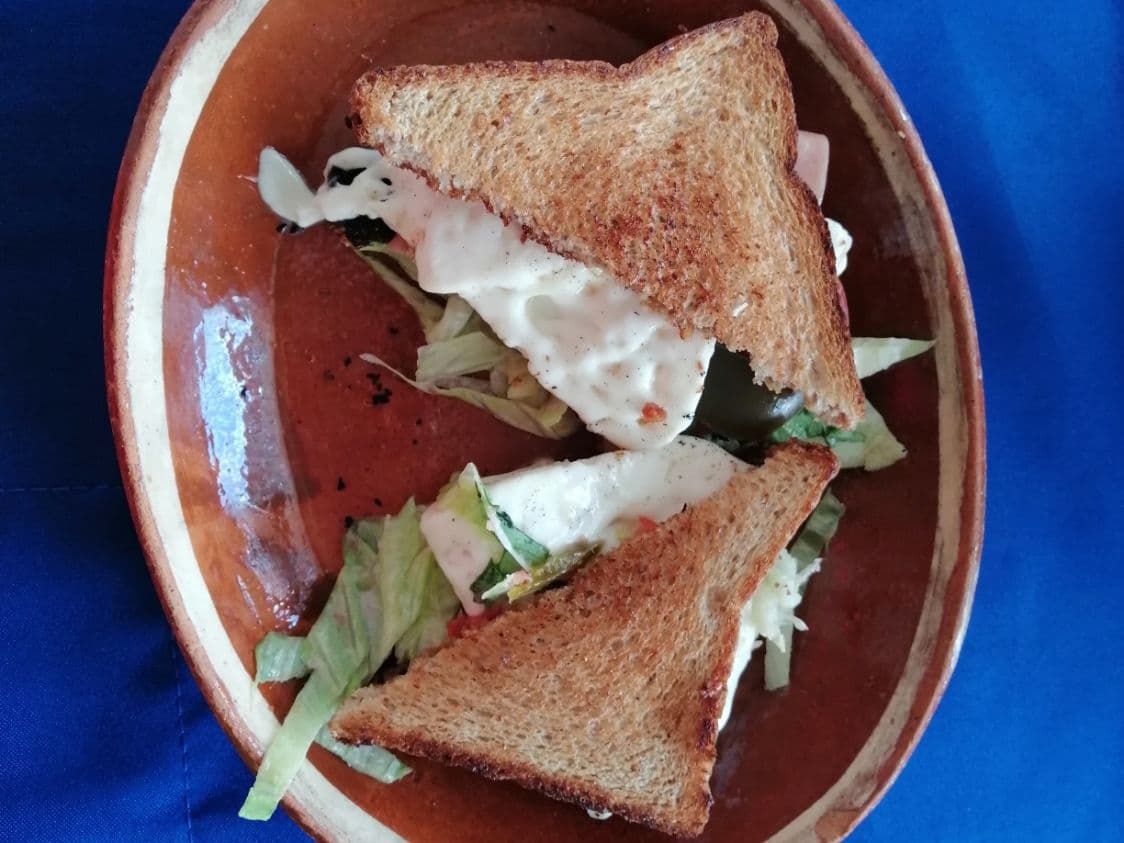 Sanwich panela