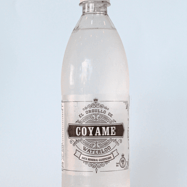 Agua Coyame 500 ml