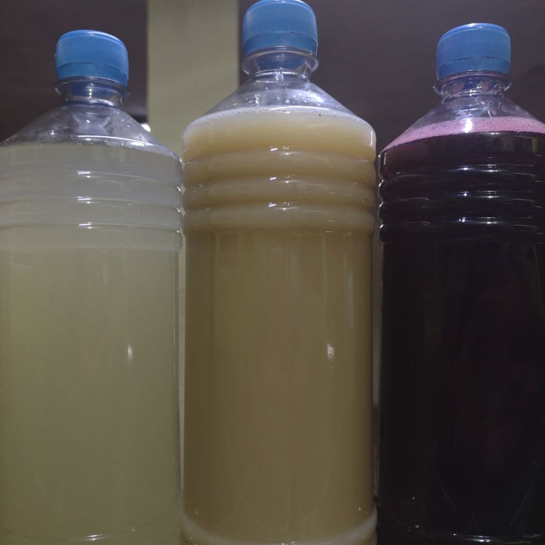 Agua de Jamaica