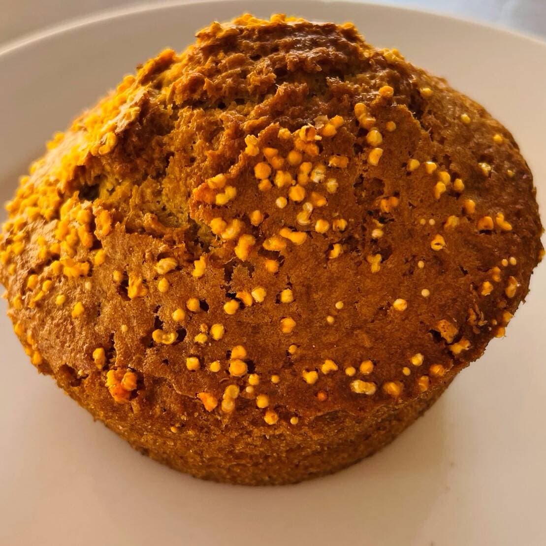 Panque de Naranja Light
