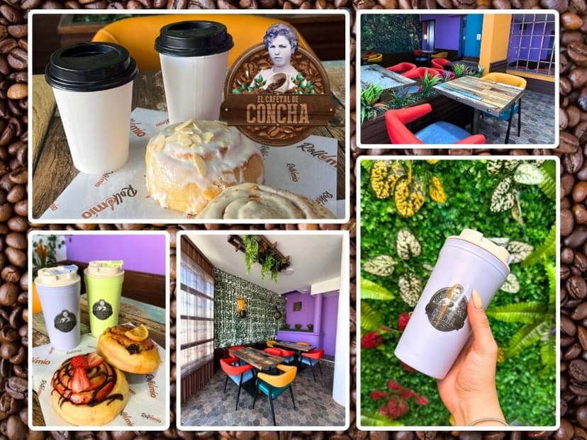 El Cafetal de Concha