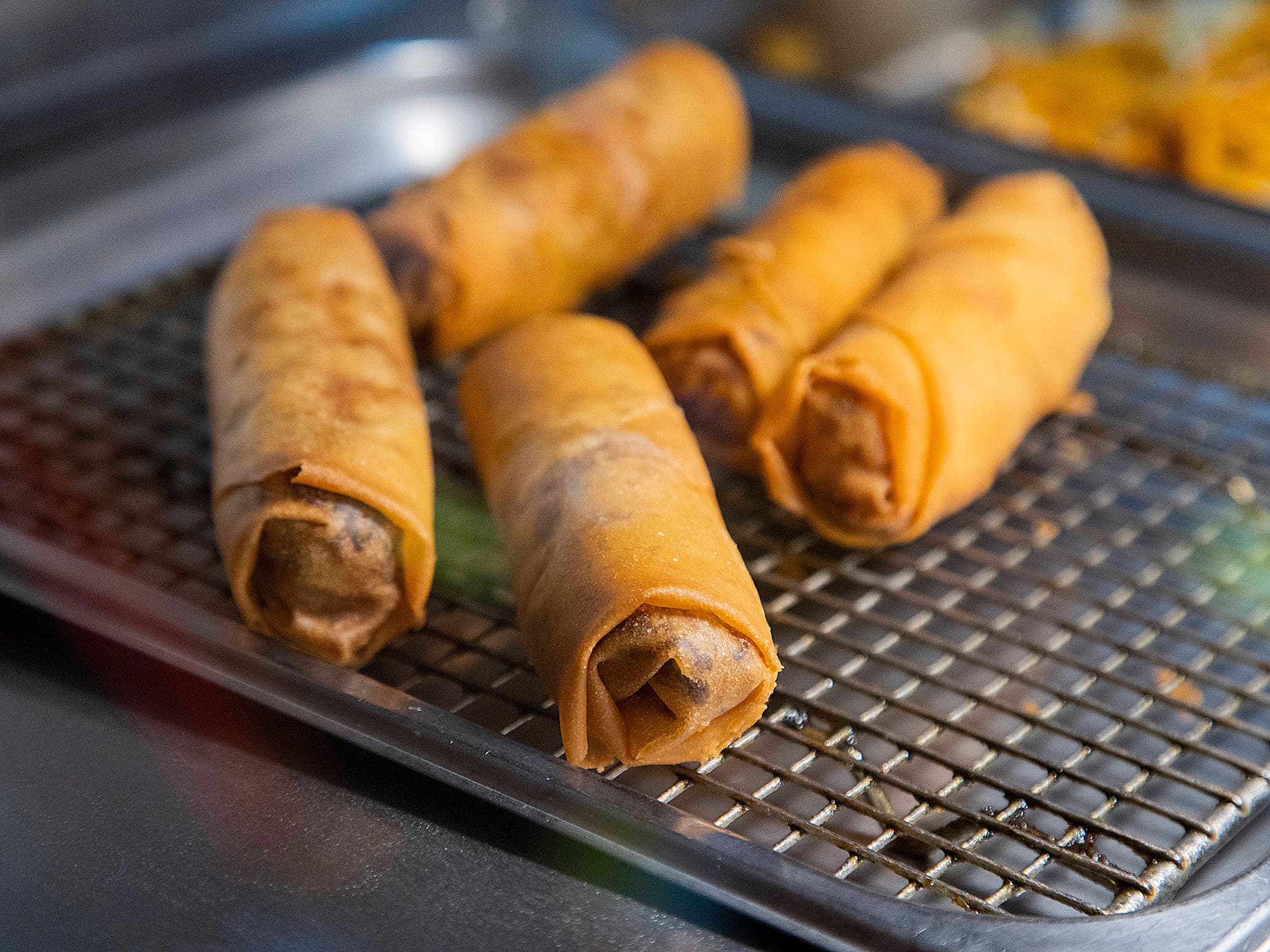 Rollito Primavera