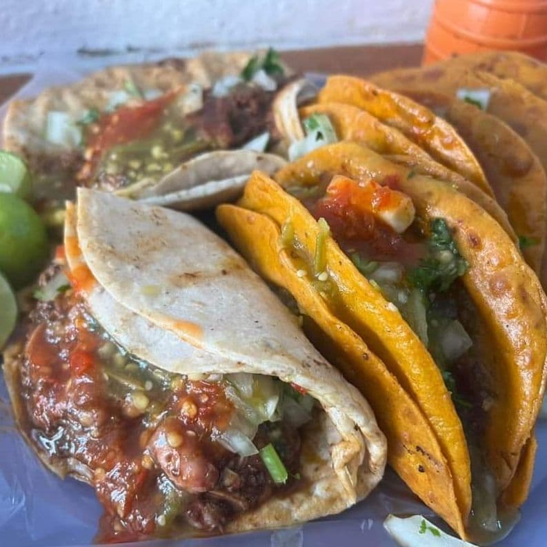 Taco Suave