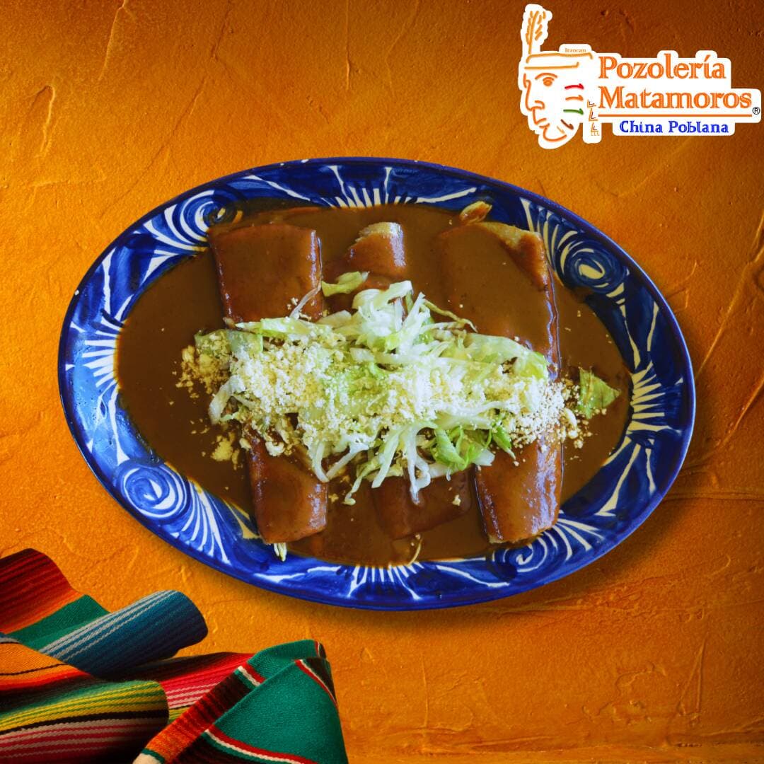 Envueltos de Mole con Pollo