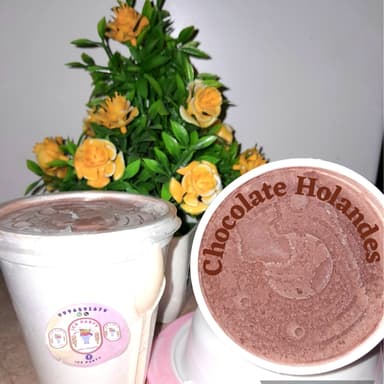 Helado Gourmet Chocolate Holandes