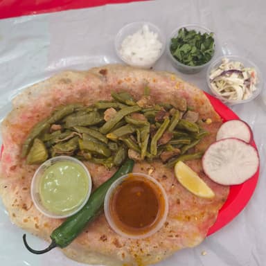 Burro de Nopales con Carne de Puerco