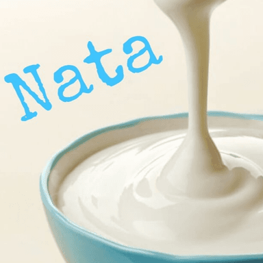 Nata de Leche Tamaño Familiar 400 Gr