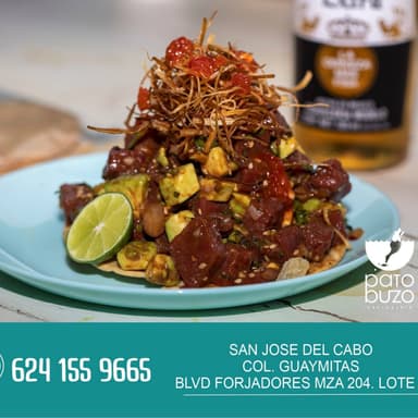Ceviche Michin