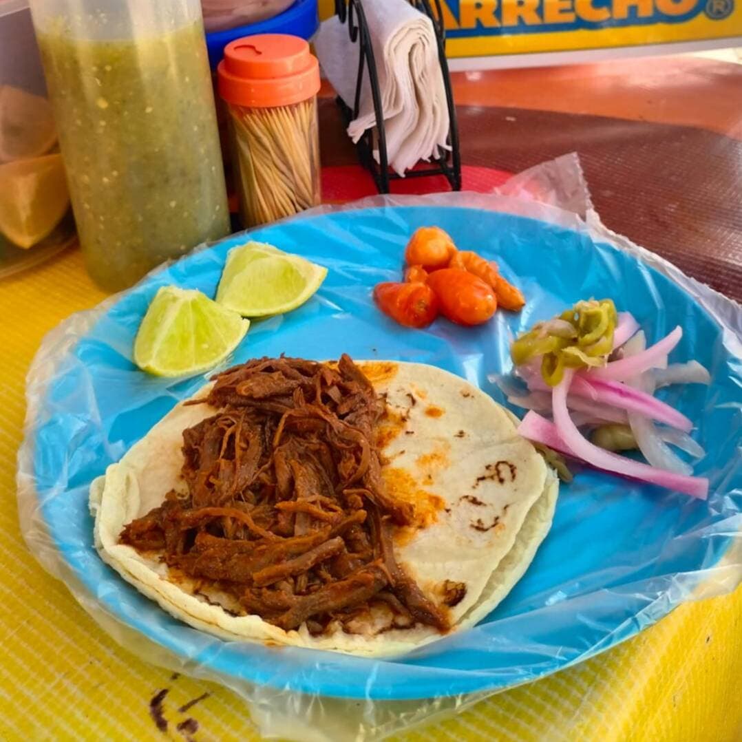 Taco birria
