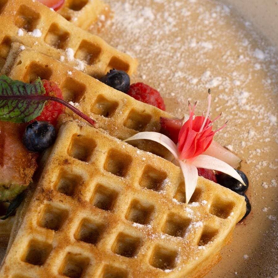 Waffles Clasicos