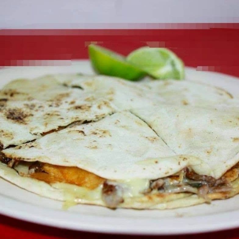 Gringa Mixta