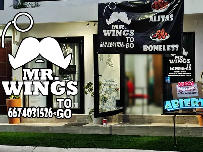 Mr. Wings