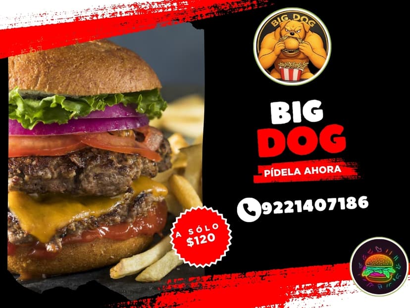 Big Dog