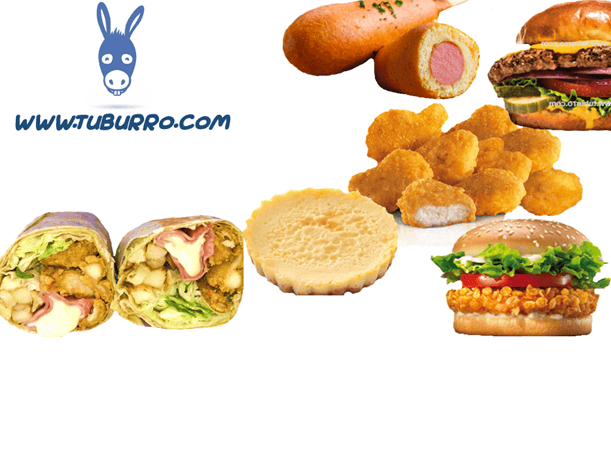 www.tuburro.com