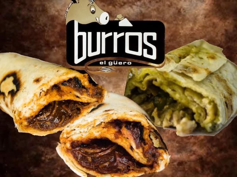 Burros el güero