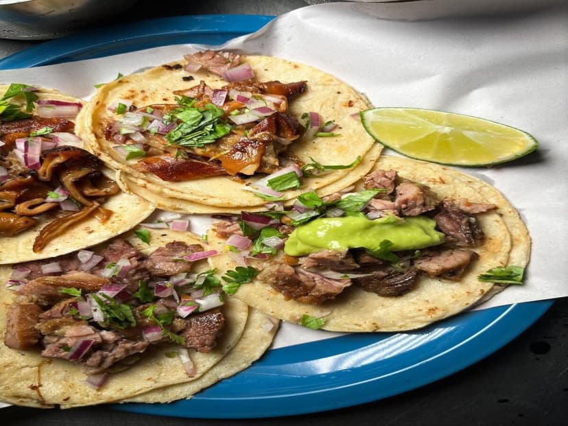 La Mansion del Taco Paseo Tabasco