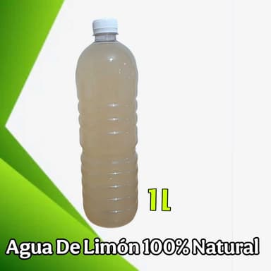 Agua Horchata de Arroz 1 L