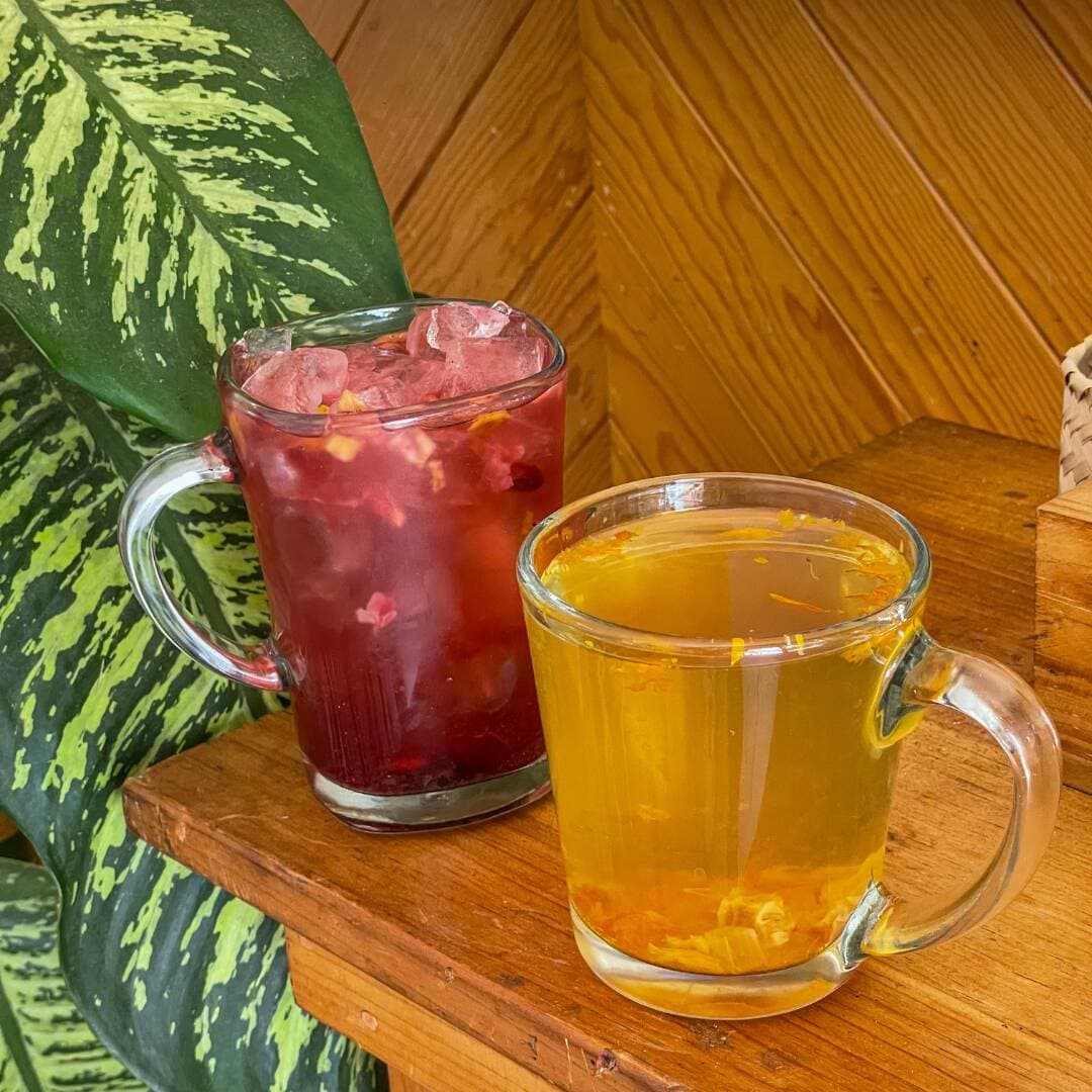 Tisana de Fresa Kiwi