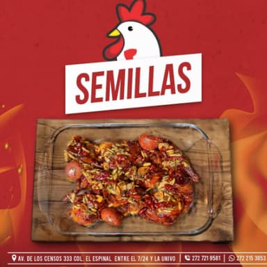 POLLO EN SALSA DE SEMILLAS||