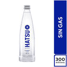 Agua sin Gas 300 ml