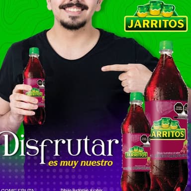 Jarrito Sabor Uva 355 ml