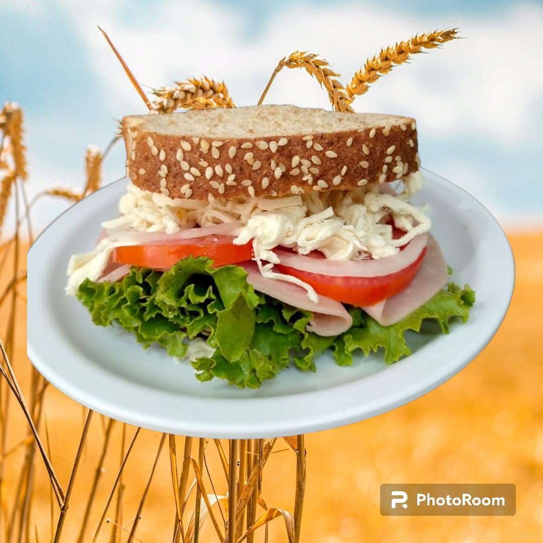 Sándwich de JAMÓN de Pavo