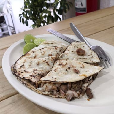 Gringa Campechana