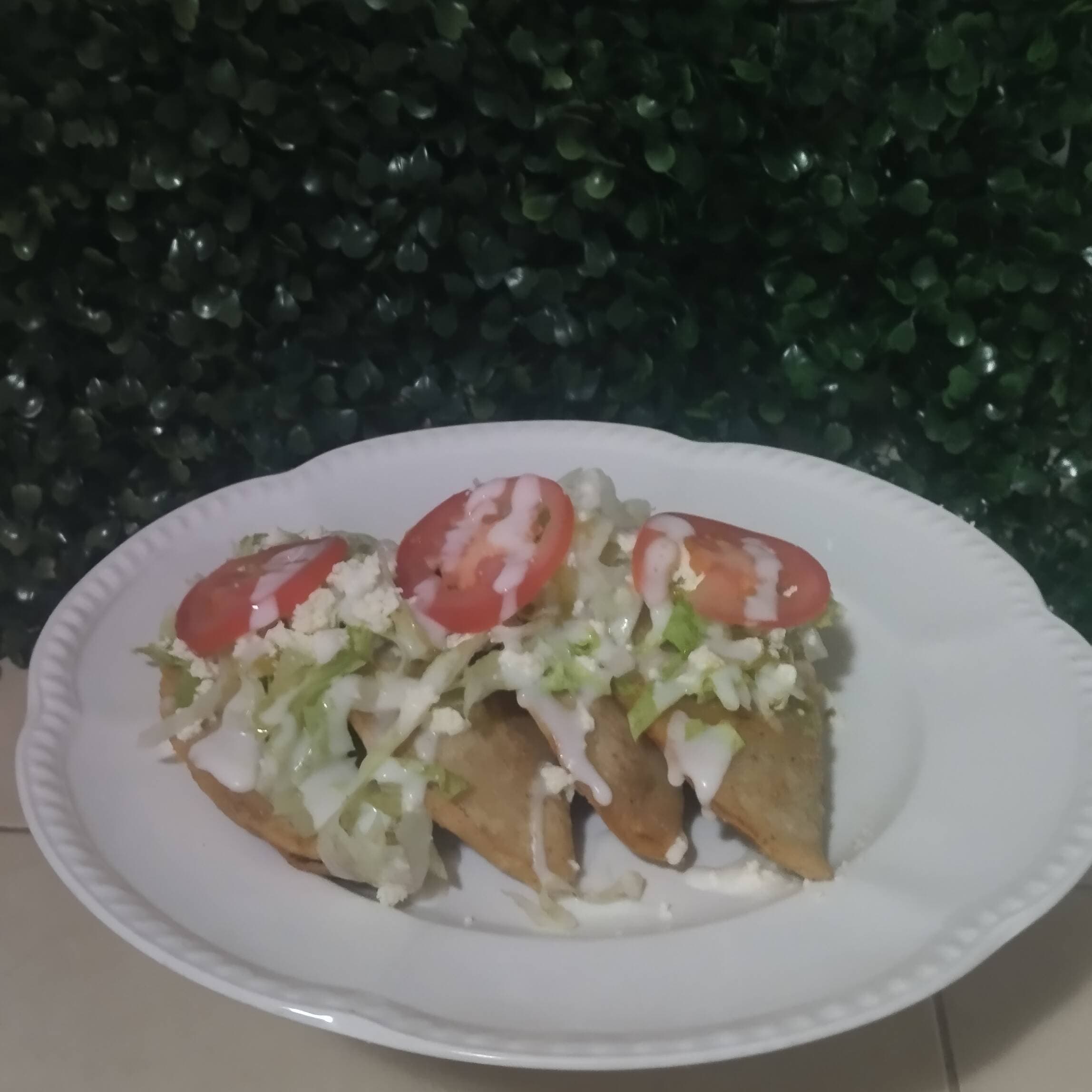 Empanada de Pollo en Salsa Roja.