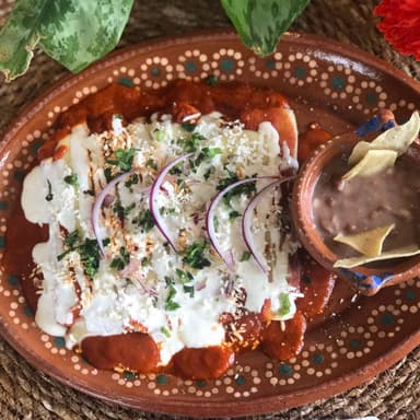 Enchiladas de Pollo Verdes / Rojas