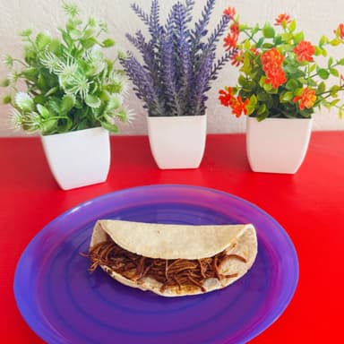 Taco de Mole