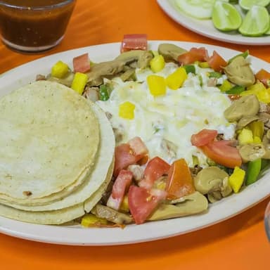Vegetariano