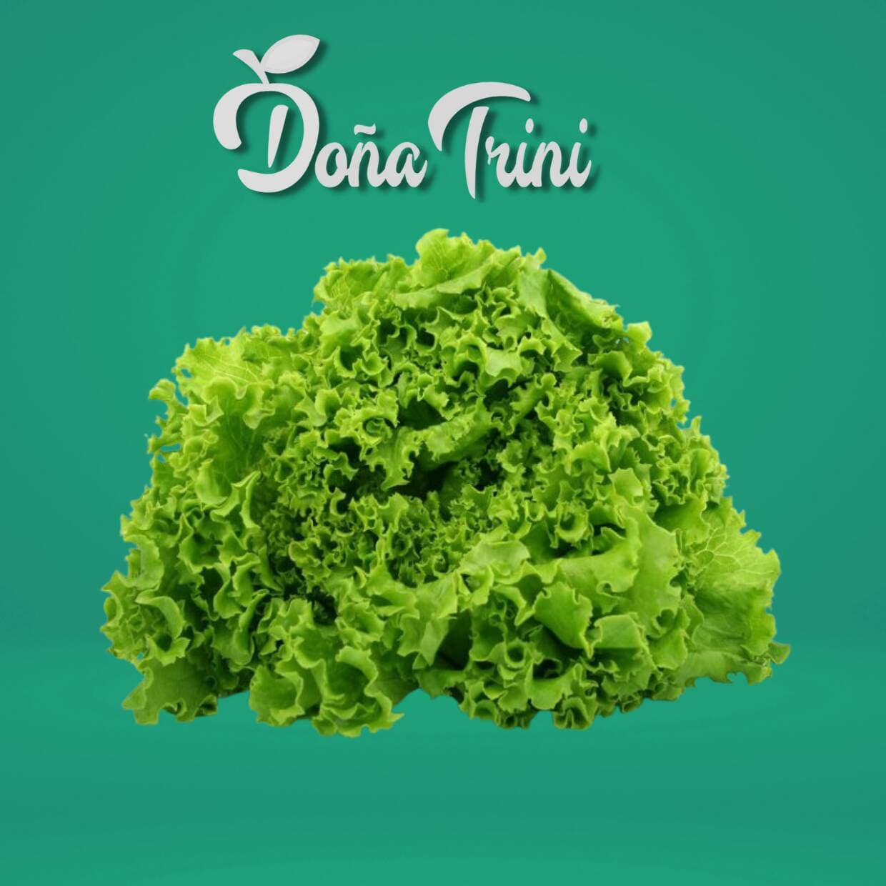 Lechuga Orejona