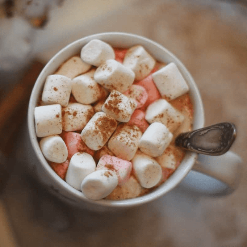 Chocolate caliente con malvaviscos 16 oz
