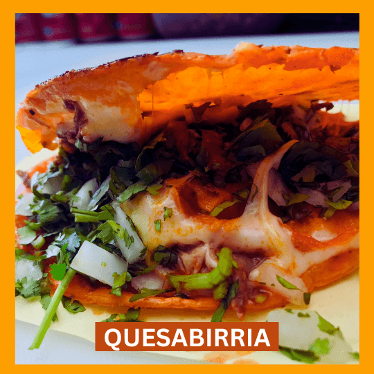 QUESABIRRIA DE HARINA (ES MAS GRANDE)