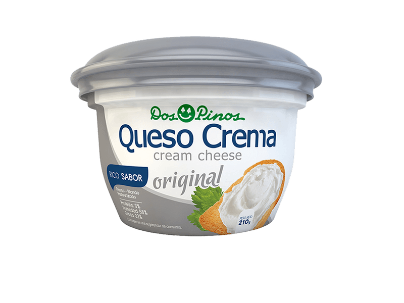 QUESO CREMA 100G