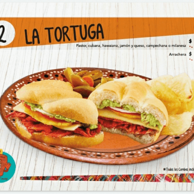 Tortuga Arrachera
