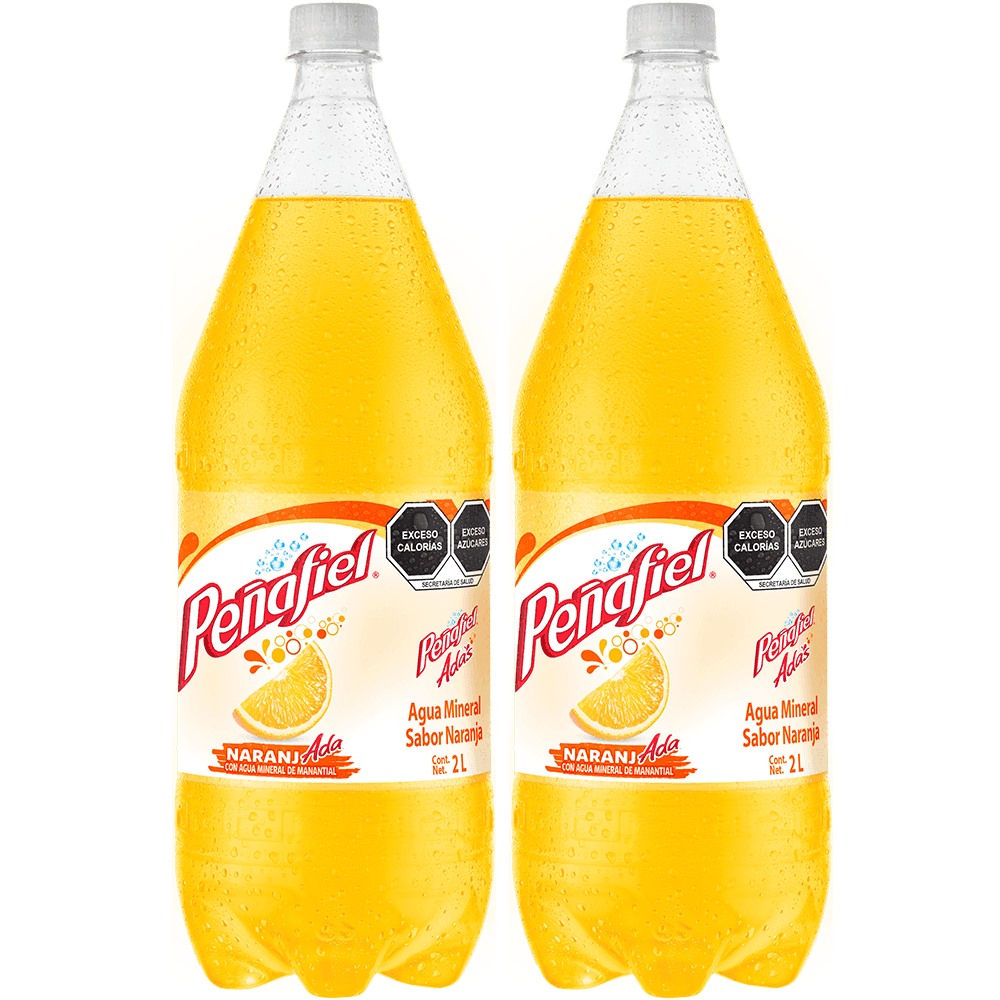 2 Penafiel Naranjada 2 lt NR