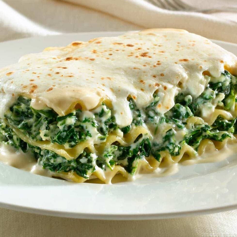 Lasagna Alfredo